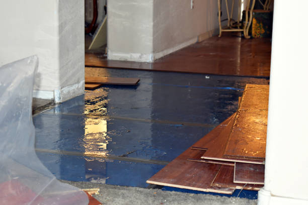 Professional Basement Flooding technician working in Puyallup, WA